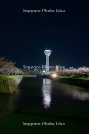 五稜郭タワーと夜桜