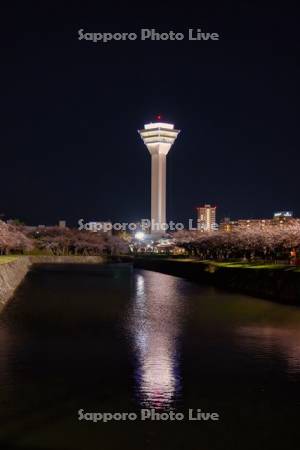 五稜郭タワーと夜桜