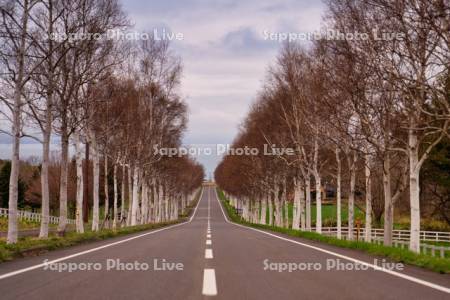 パノラマロードと噴火湾