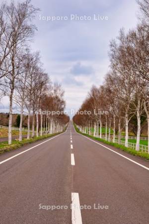 パノラマロードと噴火湾