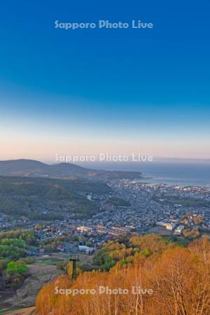 天狗山より市街展望