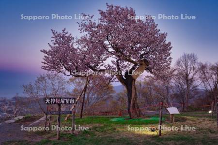天狗桜展望台夕景