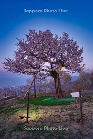 天狗桜展望台夕景