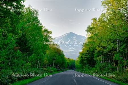 美瑛岳　道道966号線