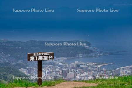 天狗山より市街展望