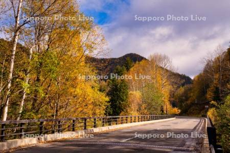 国道273号線と紅葉