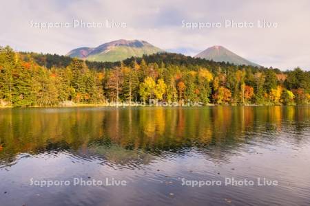 オンネトーと雌阿寒岳・阿寒富士