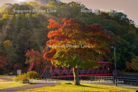 支笏湖の山線鉄橋