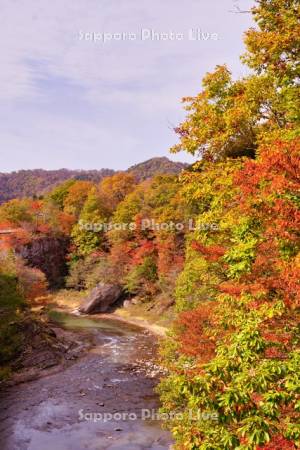 滝の上公園　夕張川と紅葉