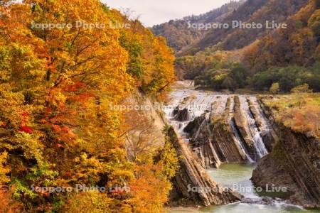 滝の上公園　千鳥ヶ滝