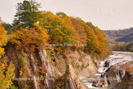 滝の上公園　千鳥ヶ滝