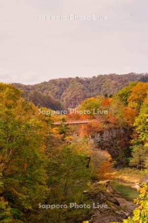 滝の上公園　夕張川と紅葉