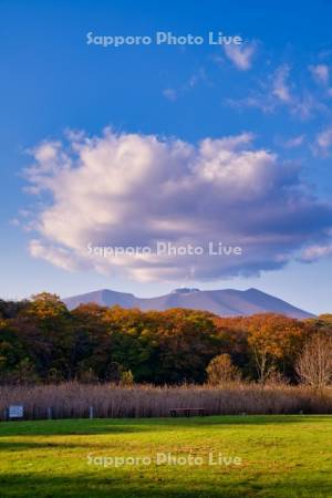 錦大沼公園芝生広場と樽前山