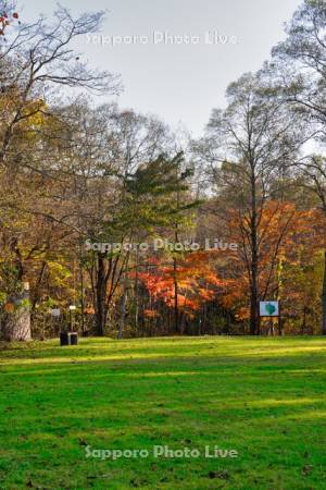 錦大沼公園芝生広場