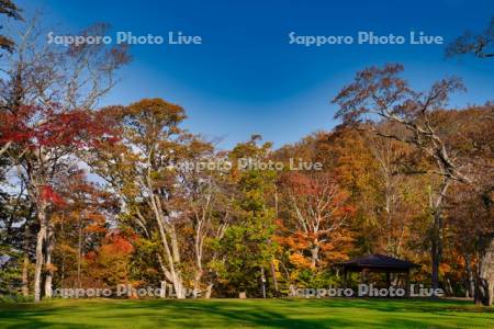 支笏湖休暇村の紅葉
