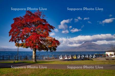 支笏湖湖畔園地と恵庭岳