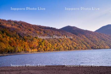 紅葉の支笏湖畔