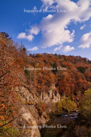 恵庭渓谷　ラルマナイ川