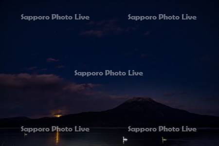 阿寒湖とハクチョウ