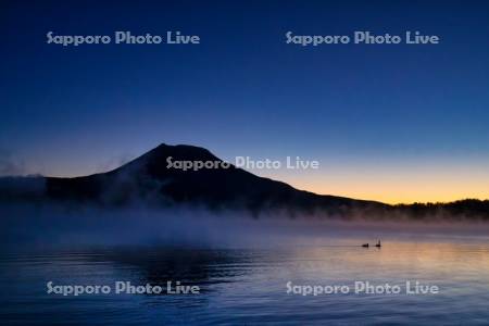 朝焼けの阿寒湖とハクチョウ