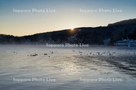 阿寒湖温泉の日の出とハクチョウ