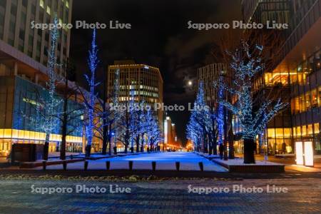 さっぽろホワイトイルミネーション　アカプライルミネーション