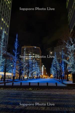 さっぽろホワイトイルミネーション　アカプライルミネーション