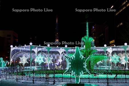 さっぽろホワイトイルミネーション　スノー・ファンタジア