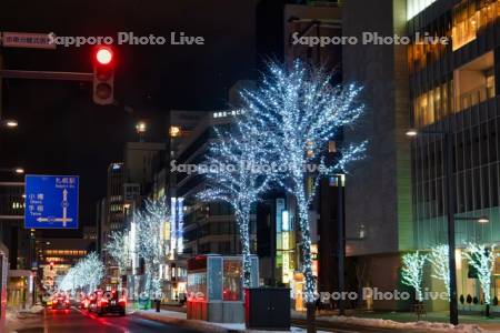 さっぽろホワイトイルミネーション　駅前通り