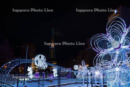 さっぽろホワイトイルミネーション　ウインター・ブロッサムズ