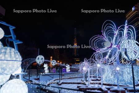 さっぽろホワイトイルミネーション　ウインター・ブロッサムズ