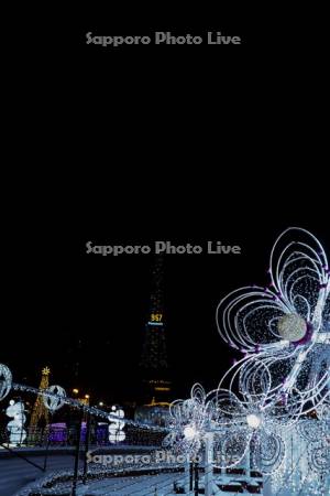 さっぽろホワイトイルミネーション　ウインター・ブロッサムズ