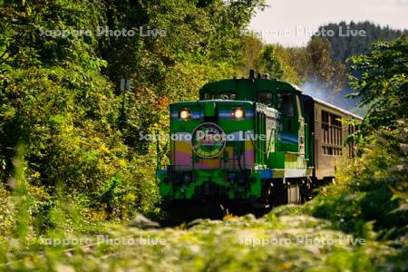 富良野・美瑛　ノロッコ号