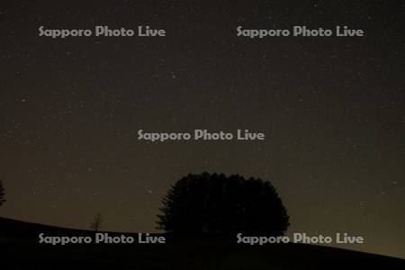 マイルドセブンの丘の星空