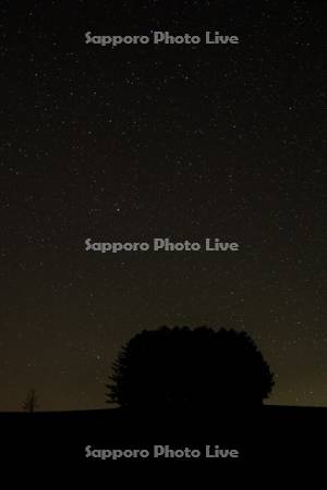 マイルドセブンの丘の星空