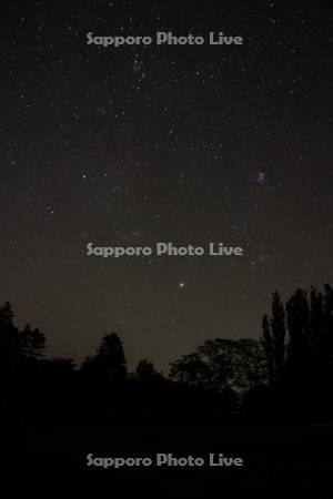 新栄の丘の星空