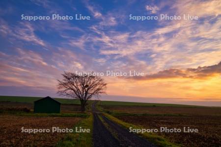 朝焼けの小屋と農道