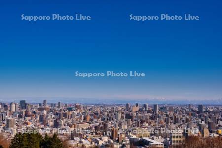 旭山記念公園より市街展望