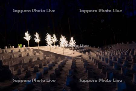 定山渓温泉雪灯路