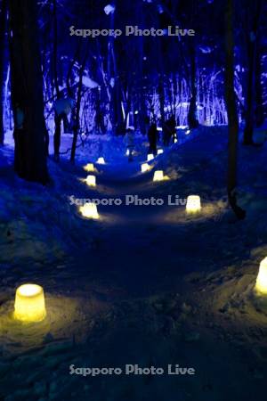 定山渓温泉雪灯路