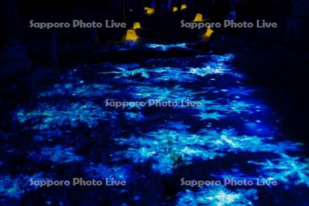 定山渓温泉雪灯路