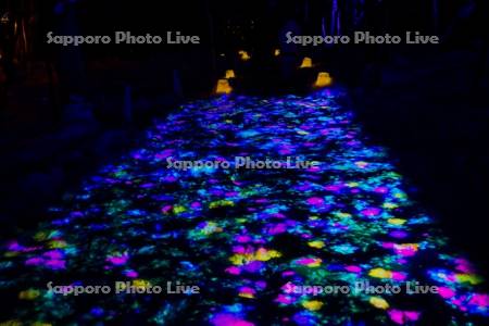 定山渓温泉雪灯路