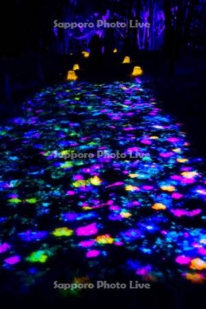 定山渓温泉雪灯路