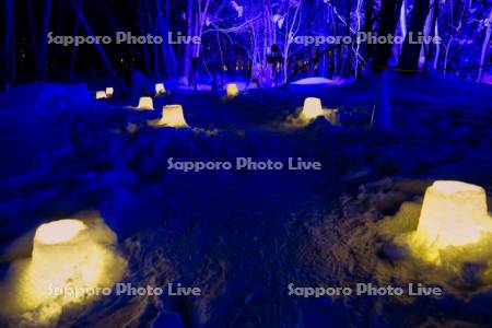 定山渓温泉雪灯路