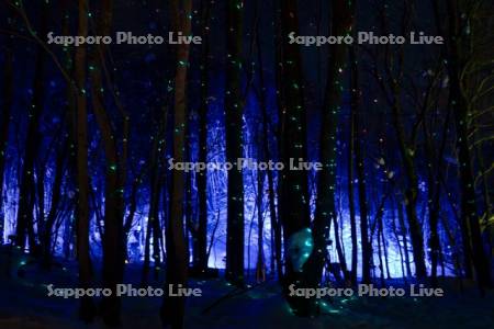 定山渓温泉雪灯路