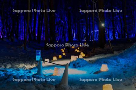 定山渓温泉雪灯路