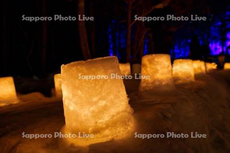 定山渓温泉雪灯路