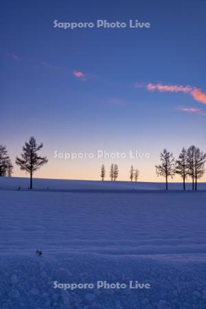 マイルドセブンの丘