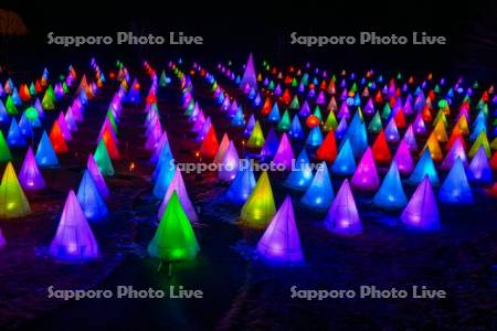 おとふけ十勝川白鳥まつり　彩凛華