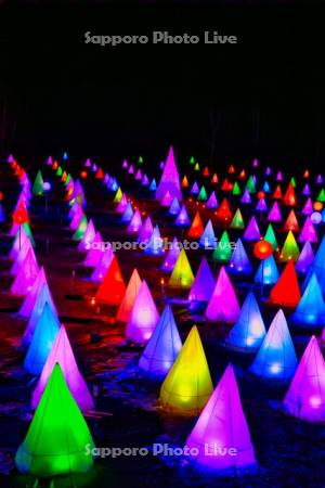 おとふけ十勝川白鳥まつり　彩凛華